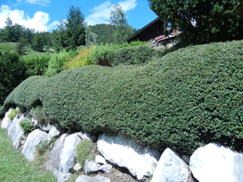 Privathaus Achensee Achenkirch Szoba fotó